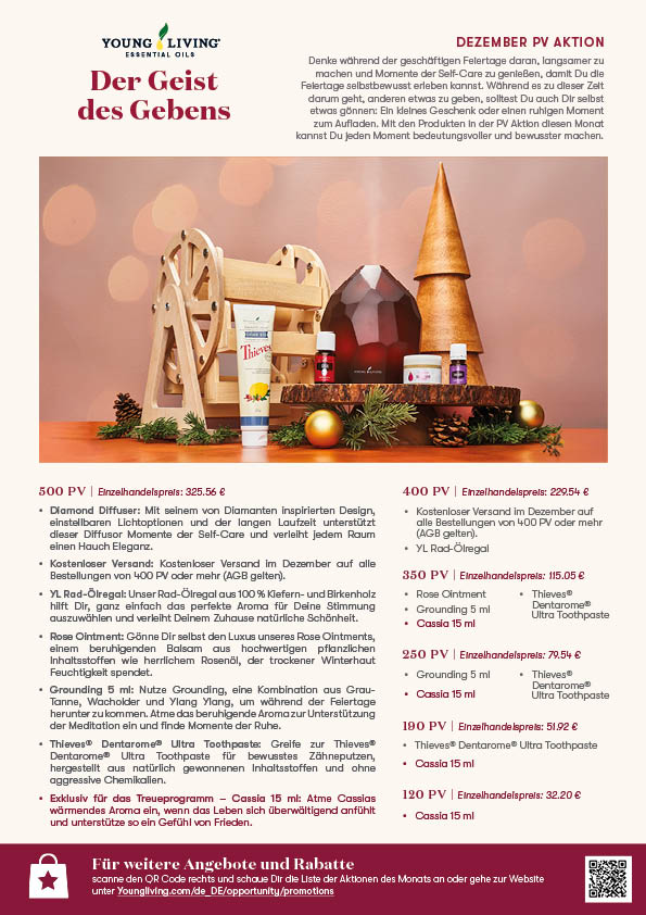 PVPromo_0824_Flyer_EUR_DE