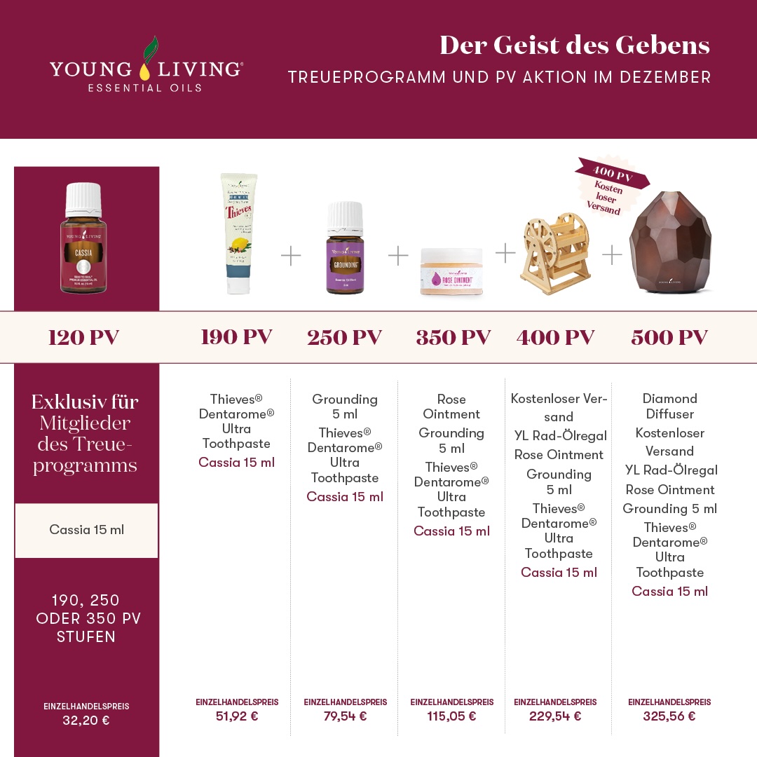 PVPromo_0824_Flyer_EUR_DE