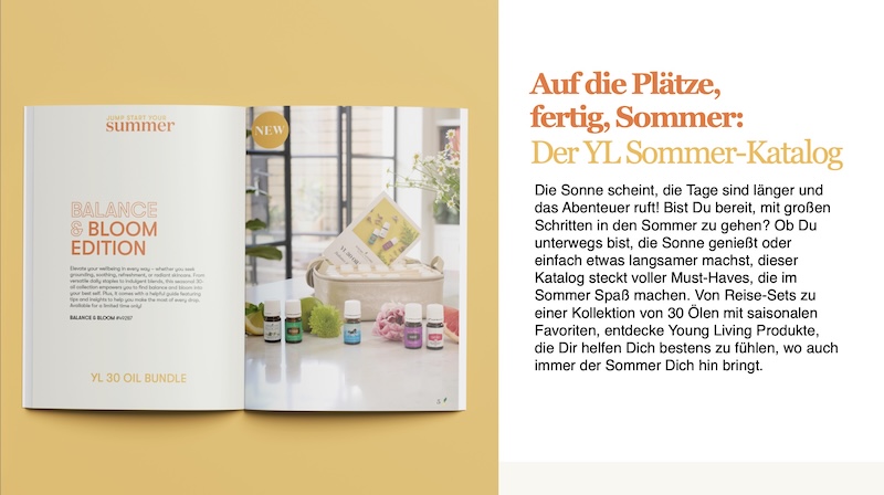 SpringGuide-2025-de
