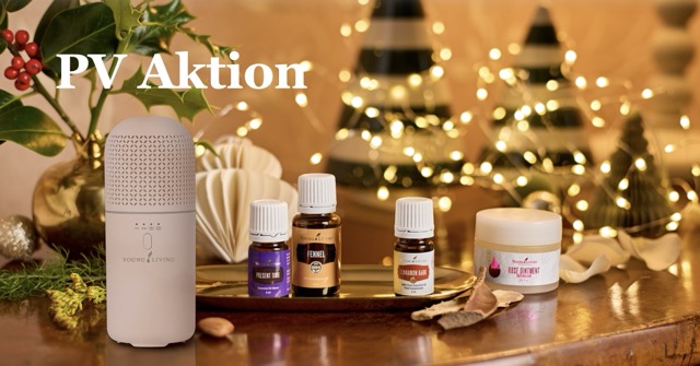 Mittel (Bildschirmfoto 2025-11-01 um 09.14.25) PV und Promo August 2025