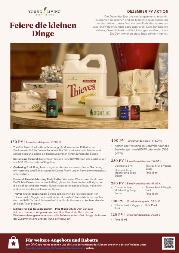 PVPromo_1225_Flyer_EUR_DE PVPromo_0825_Flyer_EUR_DE