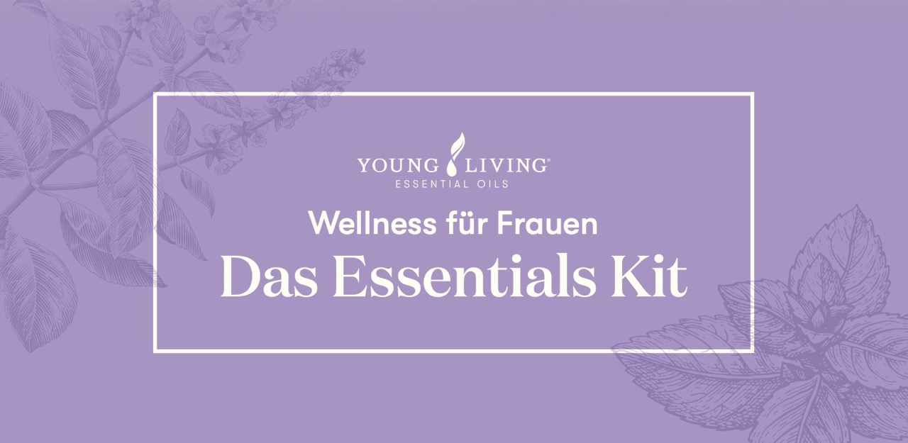 Screenshot SpringGuide-2025-de