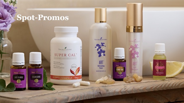 Screenshot PV und Promo August 2025